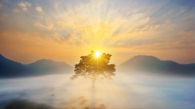 Hope...
"...La paura può farti prigioniero. La Speranza può renderti libero..." (dal film: "Le Ali della Libertà")

Now you're free, so... Happy Birthday Ginny!!!
Parole chiave: Fantasy