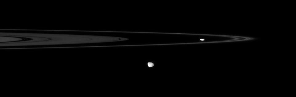 Janus & Prometheus
Caption NASA:"The Cassini spacecraft spies two of the small, irregular moons that patrol the outer edges of Saturn's Main Rings. 
Prometheus (102 Km, or approx. 63 miles across) hugs the interior of the F-Ring right of center, while Janus (181 Km, or about 113 miles across) hangs in the foreground below center. Hints of craters can be seen on Janus. 
This view looks toward the unilluminated side of the Rings from less than 1° above the Ring-Plane. 

The image was taken in visible light with the Cassini spacecraft narrow-angle camera on June 14, 2007 at a distance of approx. 1,6 MKM (1 MMs) from Saturn. 
Image scale is roughly 10 Km (about 6 miles) per pixel".
Parole chiave: Saturn's Moons - Janus and Prometheus