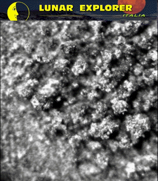 Microscopic Lifeforms in Motion? (GIF-Movie; credits: Dr G. Barca)
nessun commento
Parole chiave: GIF-Movie