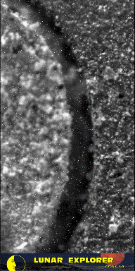 Microscopic Lifeforms in Motion? (GIF-Movie; credits: Dr G. Barca)
nessun commento
Parole chiave: GIF-Movie