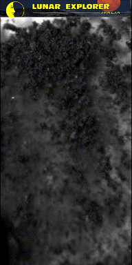 Microscopic Lifeforms in Motion? (GIF-Movie; credits: Dr G. Barca)
nessun commento
Parole chiave: GIF-Movie