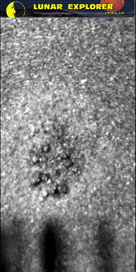 Microscopic Lifeforms in Motion? (GIF-Movie; credits: Dr G. Barca)
nessun commento
Parole chiave: GIF-Movie