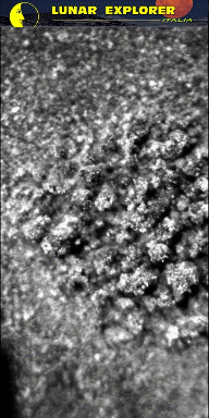 Microscopic Lifeforms in Motion? (GIF-Movie; credits: Dr G. Barca)
nessun commento
Parole chiave: GIF-Movie