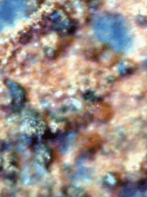 Microscopic Lifeforms in Motion? (GIF-Movie; credits: Darwin)
nessun commento
Parole chiave: GIF-Movie