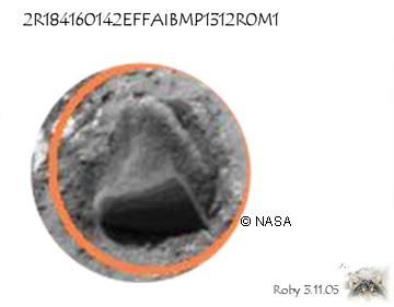 Hippo!
Una semplice roccia curiosa, la cui forma ci ricorda il "muso" di un ippopotamo mentre emerge dal..."fango marziano"!
Parole chiave: Martian Surface - Rocks, Sand and Debris