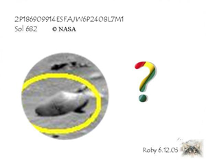 Dutch-shoe Rock
nessun commento
Parole chiave: Martian Surface - Rocks, Sand and Debris