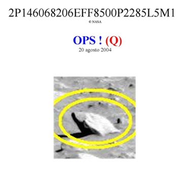 Martian "Fin-like" rock
nessun commento
Parole chiave: Martian Surface - Rocks, Sand and Debris - Controversial