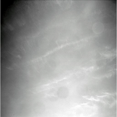Ice-Clouds over Victoria Crater - Sol 1647 (GIF-Movie; credits: Dr G. Barca)
nessun commento
Parole chiave: GIF-Movie