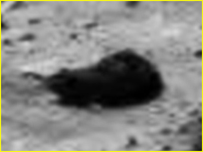 Martian Gargoyles: "The Beaver" - Sol 2167 (EDM n.1 - credits for the research and add. process.: Ivana Tognoloni - Lunexit Team)
nessun commento
Parole chiave: Martian Surface - Controversial Surface Feature - "The Beaver"