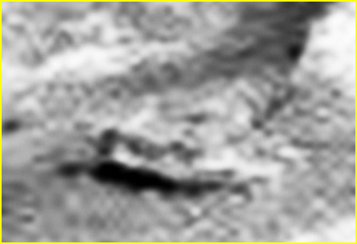 Extremely unusually-looking Surface Feature: the "(semi-buried) Rocky Frog" - Sol 2176 (EDM n.2 - credits for the research and add. process.: Ivana Tognoloni - Lunexit Team)
Il dettaglio, oggettivamente, è intrigante; tuttavia, per quale che sia l'approccio che si voglia utilizzare, la risposta definitiva all'interrogativo iniziale e cioè: "Che cosa stiamo guardando?" non potrà arrivare s e non recandosi in loco ed osservando di persona.

Stiamo semplicemente osservando un "sasso strano"? O forse si tratta di un qualche tipo di "fossile"? O magari è un "Over-Tunnel"? La risposta che preferirete, per ora (e, probabilmente, ancora per moltissimi anni), sarà comunque corretta. 

Un "Grazie di Cuore", come sempre, alla nostra Amica e Partner, Ivana Tognoloni, per l'occhio e la pazienza avute.
Parole chiave: Martian Surface - Extremely controversial Surface Feature - The "Frog"