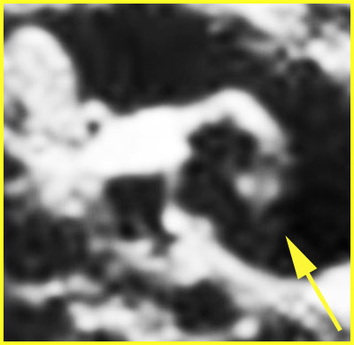 Extremely unusually-looking Surface Feature - Sol 288 (EDM n.2 - credits: Ivana Tognoloni)
Cosa dire, quindi, dopo questo secondo EDM? C'� - effettivamente - una sorta di Creatura, aggrappata al Rim di Endurance (una Creatura che, essendo - se reale - entrata in perfetta simbiosi con l'Ambiente in cui vive, � ora capace di esprimere una tecnica di mimetismo davvero perfetta e, dunque, ragionevole e credibile), oppure sono le "solite" forme ingannevoli alle quali, ormai, dovremmo essere abituati?

Noi, purtroppo, non abbiamo risposte: solo domande, che condividiamo con Voi.

Complimenti, ancora una volta, alla nostra bravissima Amica e Partner, Ivana Tognoloni!
Parole chiave: Martian Surface - Craters - Endurance Crater