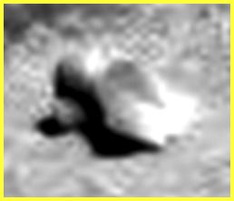 Martian "Turtleneck-like" Surface Feature - Sol 327 (EDM n.1 - credits: Ivana Tognoloni - Lunexit Team)
...Davvero bizzarra: come altrimenti definirla una Surface Feature simile?!?
Parole chiave: Martian Surface - Controversial Surface Feature - "The Head"