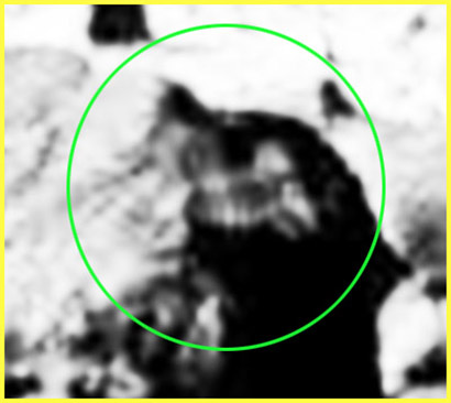Martian Pseudo-Rocks - Sol 388 (EDM - credits: Ivana Tognoloni)
Forse, come suggerisce e spiega il nostro Grande Amico e Partner, Dr Alessio Feltri, questi frames rappresentano una realtà che - di fatto - non esiste. 
Ma le incredibili "stranezze" che essi, quotidianamente, ci mostrano, non smetteranno mai di intrigarci.

Ed in fondo, se possiamo restare un pizzico fedeli a noi stessi ed al nostro approccio, che ci sia concessa questa domanda: ma in tutti i modi in cui la NASA e l'NSA (o chissà chi altri per loro) potevano occultare la Realtà Extraterrestre in generale e quella Marziana in particolare, perchè sceglierne uno così ambiguo e così incredibilmente immaginifico?

In altre parole, se lo scopo ultimo è quello di non far conoscere al Pubblico (onde evitare, si presume, uno "Shock Culturale" il cui impatto - sociale, politico e religioso - è potenzialmente devastante) una determinata Realtà e Verità, perchè crearne un'altra, altrettanto "verosimile" e, come ormai sapete tutti, così straordinariamente antropomorfa?

O forse è proprio questa la "perversione" degli Amici di Pasadena (intuita ed in parte spiegata dal buon Dr Feltri), e cioè il nascondere una Verità scomoda, perigliosa e, allorchè divulgata, totalmente ingestibile, con una menzogna altrettanto scomoda e perigliosa, ma di fatto gestibilissima (e si: perchè, laddove necessario, demolire una menzogna - allorchè si sa che essa è tale - è sempre più semplice che demolire una Verità - specie allorchè Essa è talmente grande e profonda da sconvolgere le fondamenta stesse della nostra Cultura e Scienza).

Le implicazioni derivanti dall'adozione dell'uno o dell'altro approccio (che Vi ricapitoliamo: c'è l'Approccio Feltri, per il quale tutto il materiale NASA reso pubblico è talmente "manipolato e taroccato" da risultare, alla fine, completamente inutile a fini di qualsiasi ricerca, e c'è l'Approccio Lunexit, per il quale, invece, SOLO una parte, minima, ma non per questo insignificante, del materiale NASA pubblico è effettivamente alterata ad un punto tale da risultare inutile, mentre un buon 90% di detto materiale è valido, e cioè genuino ed utilizzabile a fini di ricerca), anche se può sembrare assurdo, sono simili.

Ed in entrambi i casi, alla fine, si può arrivare, usando Logica, Scienza e Pragmatismo, ad immaginare l'inimmaginabile.

E cioè, detto in altre parole (e come lo stesso Dr Feltri scrive):"...tutti noi non solo non siamo aridi demolitori di speranze, ma finiamo invece per essere legati allo stesso grande sogno: quello di arrivare con la nostra mente là, dove nessun uomo è mai giunto prima".

Si, è vero: il Grande Sogno è proprio questo. E per continuare a coltivarlo, non ci fermeremo - credeteci - davanti a nulla.

Grandi complimenti ad Ivana per la sua Grande Passione ed Attenzione e per il suo, ormai davvero eccellente e sempre più acuto, "occhio".

Ed un invito a tutti i Lettori: riflettete su queste immagini e sulle parole che tentano di illustrarle. Forse saremo troppo ottimisti, ma la nostra sensazione è che la Verità, in fondo, non sia troppo lontana...
Parole chiave: Martian Surface - Extremely unusually-looking Surface Feature