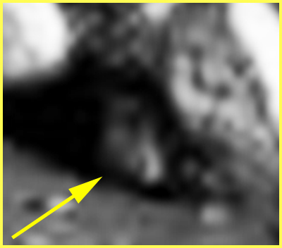 Local Observer... - Sol 442 (EDM n.2 - additional process. by Ivana Tognoloni - Lunexit Team)
nessun commento
Parole chiave: Martian Surface - Controversial Surface Feature - "The Squirrel"