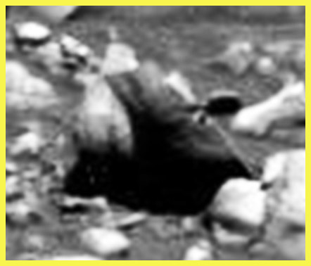 Is this a Rock? - Sol 660 (EDM - credits for the Research: Ivana Tognoloni/LXTT/IPF)
Che dire, Amici? La NASA non l'ha MAI notata né indagata. E' una "Roccia"? certamente si, nel senso ampio del termine. Ma la sua configurazione e la differenza cromatica che ne caratterizza l'intera struttura ci fanno pensare a tante cose. Alcune assolutamente razionali, altre meno. Si, è un "Roccia". Ma bizzarra, di forma, texture e colori davvero bizzarri. E lo sapete qual è il vero "peccato" qui? E' nel fatto che, se non ci fossimo stati noi (Ivana Tognoloni in particolare), essa sarebbe passata totalmente inosservata ed ignorata. Marte, la Regione di Gusev Crater, è sempre stata ricca di Anomalie e Singolarità. Questa è una delle mille (e più) che NOI e SOLO NOI siamo stati capaci di vedere ed "estrarre" dal Mare Magnum delle scemenze che caratterizzano la quasi totalità di Siti e Blog che si "occupano" (si fa per dire...) di Marte e dello Spazio a noi - sempre relativamente parlando - "conosciuto. Un Grazie di Cuore ad Ivana e Buon Anno!
Parole chiave: Martian Surface - Unusually-looking Rock