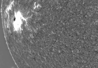 The "Moreton Wave"
Caption NASA originale:"Tsunamis this large don't happen on Earth. One week ago (Dec. 2006), a large solar flare from an Earth-sized sunspot produced a tsunami-type shock wave that was spectacular even for the Sun. Pictured above, the tsunami wave was captured moving out from active region AR 10930 by the Optical Solar Patrol Network (OSPAN) telescope in New Mexico, USA. The resulting shock wave, known technically as a Moreton Wave, compressed and heated up gasses including Hydrogen in the photosphere of the Sun, causing a momentarily brighter glow. 
The above image was taken in a very specific red color emitted exclusively by hydrogen gas. The rampaging tsunami took out some active filaments on the Sun, although many re-established themselves later. 
The solar tsunami spread at nearly 1 MKM per hour, and circled the entire Sun in a matter of minutes".
Parole chiave: The Sun