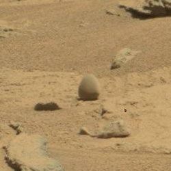 Funny!
Veramente una "Roccia" bizzarra, per forma (sembra un uovo...) e capacità di mantenere una sorta di equilibrio. Suggestiva.
Parole chiave: Martian Surface