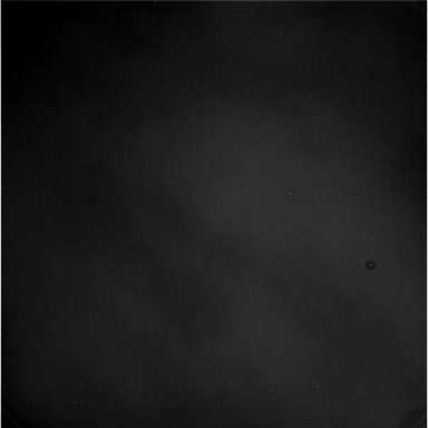 Noctilucent Clouds over Titan (GIF-Movie; credits: Dr G. Barca)
Su Titano è notte, ma come queste immagini (ottimamente montate a formare un GIF-Movie dal nostro Dr Gianluigi Barca) dimostrano piuttosto chiaramente, delle grandi e vaporose formazioni nuvolose passano attraverso gli occhi elettronici di Cassini e si rendono palesi.

Magia delle riprese IR? 
No, perchè queste immagini sono state ottenute nello Spettro della Luce Visibile. 

E allora, come spiegare la (ripetiamo: EVIDENTE) luminosità delle nuvole di Titano?
Beh, esistono almeno tre modi per provare a spiegare (sensatamente) questo intrigante ed affascinante fenomeno, ma la soluzione (puramente ed assolutamente teorica e speculativa, lo sappiamo) che ci piace privilegiare la potete trovare descritta nell'articolo "Oltre la Nebbia", pubblicato sul nostro Blog "True Planets"...

Parole chiave: GIF-Movie
