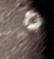 Umbriel's extremely unusual surface feature: Wunda Crater (Natural Colors; credits: NASA)
Here is a closeup systhesis from all the close-ups of Wunda Crater.
It is hard to tell if the craters dug up the bright material, or if they had something to do with the impacts. Maybe it was derived from eruptions or melting caused by impacts. 
Or maybe they are some sort of frost left over from impacts. 

This issue may not be resolved until another spacecraft observes Umbriel. Here is the best view of Wunda that can be generated with the available data.
Parole chiave: Uranus Moons - Umbriel