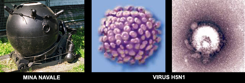 A slice of the Infinite beyond (4) - by Dr Alessio Feltri
Analogamente non tutti i virus hanno l’aspetto del T4, anzi molti assomigliano di più a mine navali della II° Guerra Mondiale, come desumibile dall’immagine seguente del virus aviario...
Parole chiave: Virus