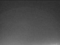 Meteor Strike on the New Moon's limb? (GIF-Movie)
TLP? No: questo GIF-Movie ci mostra - e MOLTO bene! - l'effetto luminoso prodotto da un bolide che impatta la Luna. Un rapido lampo particolarmente intenso ("Primary Flash" o "bagliore da impatto") e quindi una serie di lampi ulteriori - dovete osservare il filmato varie volte per riuscire a coglierli - che degradano in una debole luminescenza la quale, infine, viene avvolta dall'oscurità ("Secondary Flashes" o "bagliori secondari da impatto").
Ora, la domanda che ci è stata rivolta è questa: i "Lunar Flash" derivanti da (o connessi a) Meteor Strikes (o Impatti Meteorici) possono essere considerati del Transient Lunar Phoenomena?

Ebbene, se - da un certo punto di vista - ogni fenomeno estemporaneo (ergo anche il lampo di luce derivante da un impatto) è, per definizione, un "Evento Transiente", la Verità, se non altro a parere di chi scrive, è che i TLP "Puri" NON RICOMPRENDONO i bagliori da impatto.
Parole chiave: GIF-Movie