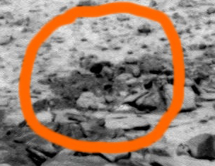 Extremely Unusual Rocks and Landforms (extra-detail mgnf; credits: Enzo Lojacono)
nessun commento
Parole chiave: Martian Surface - Unusual Surface Feature - The "Face"