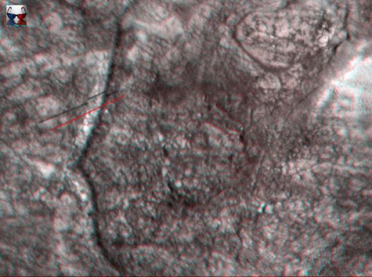 Martian Paved Road (High-Def-3D; credits: Dr M. Faccin & Lunar Explorer Italia)
Anche questa Surface Feature, a nostro avviso, farebbe la felicità di tantissimi Eso-Archeologi: essa è così ovvia da non necessitare di ingrandimenti e/o di ulteriore processing migliorativo.
Inforcate gli "occhialini" e guardate: è una (sorta di) strada, ben pavimentata e dalle dimensioni (in larghezza) assolutamente costanti e quasi regolari; essa giace poco al di sotto del piano dell'Orizzonte Locale (in altre parole, si tratta di una "strada/sentiero" scavata/o nella superficie e non sulla superficie - si osservi la barra rossa che ci fornisce un'idea del dislivello fra il piano dell'orizzonte ed il piano stradale).

Dopo un'analisi accurata delle sue fattezze, l'unica certezza che abbiamo ricavato è che anche questa Surface Feature - se vogliamo restare neutri e pragmatici - potrebbe essere quel che rimane di un antico canale di drenaggio (i suoi profili esterni sono così dolci e smussati da farci ragionevolmente supporre che, in un tempo lontano, all'interno di questo canale scorresse dell'acqua. 

Domanda: ma si tratta di un canale naturale o artificiale? Beh, questo - dopo aver guardato bene il frame - decidetelo Voi...
Parole chiave: Mars from orbit - Extremely controversial Surface Feature: "The Road"