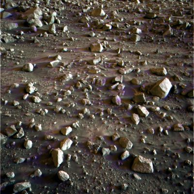 Rocks... (Natural Colors; credits: Dr M. Faccin)
nessun commento
Parole chiave: Martian Surface - Rocks and Dust