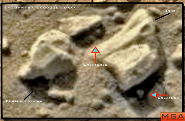 Just nothing... (Credits: MarsSurfaceAnomalies.com)
nessun commento
Parole chiave: Martian Surface
