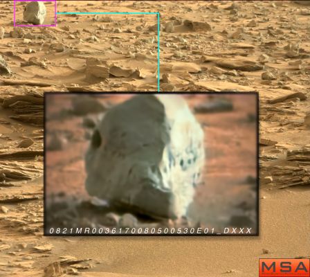 Alien! (Credits: MarsSurfaceAnomalies.com)
Terribilmente "inquietante" e simpatica!
Parole chiave: Martian Surface - possible Anomaly