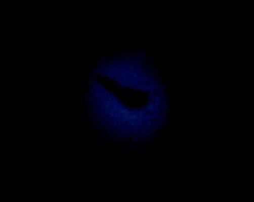 from AS 15-87-11856 (HR)
L.F.
Parole chiave: Image Artifact