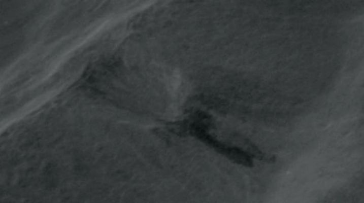 AS 16-121-19407 - The Lobachevsky Anomaly (extra-detail mgnf)
nessun commento
Parole chiave: The Moon from orbit - Craters - Lobachevsky