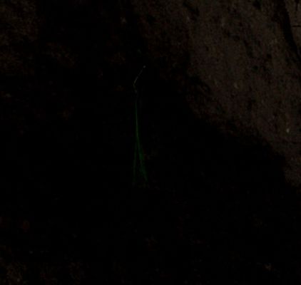 AS 17-137-20925 - Hiding in the Darkness... (edm)
...per i più "distratti", un piccolo aiuto (solo la magnificazione del dettaglio, MA SENZA modifica del colore e/o della luminosità originali del medesimo).
Parole chiave: Lunar Surface - Boulder with bright Anomaly