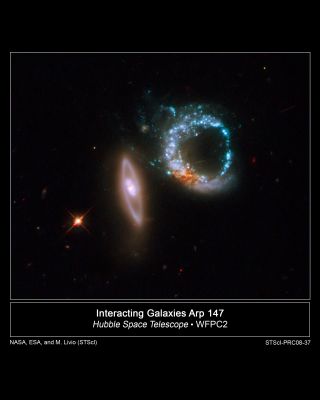 ARP 147
Just a couple of days after the orbiting observatory was brought back online, Hubble aimed its prime working camera, the Wide Field Planetary Camera 2 (WFPC2), at a particularly intriguing target, a pair of Gravitationally Interacting Galaxies called Arp 147.

The image demonstrated that the camera is working exactly as it was before going offline, thereby scoring a "perfect 10" both for performance and beauty.

The two galaxies happen to be oriented so that they appear to mark the number 10. The left-most galaxy, or the "one" in this image, is relatively undisturbed apart from a smooth ring of starlight. It appears nearly on edge to our line of sight. The right-most galaxy, resembling a zero, exhibits a clumpy, blue ring of intense star formation.
The blue ring was most probably formed after the galaxy on the left passed through the galaxy on the right. Just as a pebble thrown into a pond creates an outwardly moving circular wave, a propagating density wave was generated at the point of impact and spread outward. As this density wave collided with material in the target galaxy that was moving inward due to the gravitational pull of the two galaxies, shocks and dense gas were produced, stimulating star formation.
The dusty reddish knot at the lower left of the blue ring probably marks the location of the original nucleus of the galaxy that was hit.

Arp 147 appears in the Arp Atlas of Peculiar Galaxies, compiled by Halton Arp in the 1960s and published in 1966. 
This picture was assembled from WFPC2 images taken with three separate filters. The blue, visible-light, and infrared filters are represented by the colors blue, green, and red, respectively.

The galaxy pair was photographed on October 27-28, 2008. Arp 147 lies in the constellation Cetus, and it is more than 400 MLY away from Earth.
Parole chiave: From Space Images - Hubble Space Telescope (HST) Images