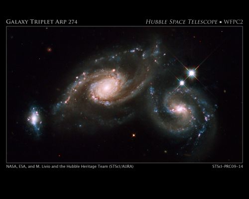 Galaxy Triplet Arp 274
Arp 274, also known as NGC 5679, is a system of 3 galaxies that appear to be partially overlapping in the image, although they may be at somewhat different distances. The spiral shapes of 2 of these galaxies appear mostly intact. The third galaxy (to the far left) is more compact, but shows evidence of star formation.

Two of the three galaxies are forming new stars at a high rate. This is evident in the bright blue knots of star formation that are strung along the arms of the galaxy on the right and along the small galaxy on the left.

The largest component is located in the middle of the triplet. It appears as a Spiral Galaxy, which may be barred. The entire system resides at about 400 Million Light-Years away from Earth in the Virgo constellation.

Hubble's Wide Field Planetary Camera 2 was used to image Arp 274. Blue, visible, and infrared filters were combined with a filter that isolates hydrogen emission. The colors in this image reflect the intrinsic color of the different stellar populations that make up the galaxies. Yellowish older stars can be seen in the central bulge of each galaxy. 
A bright central cluster of stars pinpoint each nucleus. Younger blue stars trace the spiral arms, along with pinkish nebulae that are illuminated by new star formation. Interstellar dust is silhouetted against the starry population. A pair of foreground stars inside our own Milky Way are at far right.
Parole chiave: From Space Images - Hubble Space Telescope (HST) Images