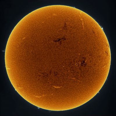 Features of the Sun (picture taken in H-Alpha - False Colors)
Taken just last week (second week of November 2011), the Sun was captured sporting numerous interesting features including one of the larger Sunspot Groups yet recorded: AR 1339 visible on the image right. Only last year, the Sun was emerging from an unusually quiet Solar Minimum that lasted for years. The above image was recorded in a single color of light called Hydrogen Alpha, inverted, and false colored. Spicules cover much of the Sun's face. The gradual brightening towards the Sun's edges is caused by increased absorption of relatively cool solar gas and called limb darkening. Just over the Sun's edges, several scintillating Prominences protrude, while Prominences on the Sun's face are seen as light streaks. Possibly the most visually interesting of all are the magnetically tangled active regions containing cool Sunspots. As our Sun's Magnetic Field winds toward Solar Maximum over the next few years, increased activity will likely create times when the Sun's face is even more complex.
Parole chiave: The Sun