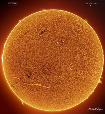 Active Sun (Credits: Mehmet Erg�n)
Caption NASA Originale:"Our Sun is becoming a busy place. Only two years ago, the Sun was emerging from a solar minimum so quiet that months would go by without even a single sunspot. In contrast, already this year and well ahead of schedule, our Sun is unusually active, already nearing solar activity levels seen a decade ago during the last solar maximum. Our increasingly active Sun was captured two weeks ago sporting numerous interesting features. The image was recorded in a single color of light called Hydrogen Alpha, color-inverted, and false colored. Spicules carpet much of the Sun's face. The brightening towards the Sun's edges is caused by increased absorption of relatively cool solar gas and called limb darkening. Just outside the Sun's disk, several scintillating prominences protrude, while prominences on the Sun's face are known as filaments and show as light streaks. Magnetically tangled active regions are both dark and light and contain cool sunspots. As our Sun's magnetic field winds toward solar maximum over the next few years, whether the Sun's high activity will continue to increase is unknown".

“Non si presta mai attenzione a ciò che è stato fatto; si vede soltanto ciò che resta da fare"

Marie Curie
Parole chiave: The SUn