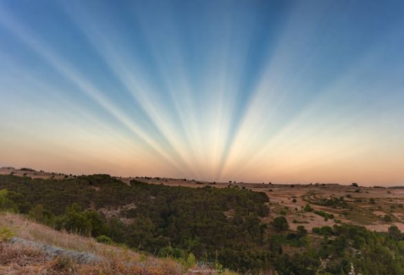 Anticrepuscular Rays over Sicily (Image Credit & Copyright: Marcella Giulia Pace - Text: Cecilia Chirenti (NASA GSFC, UMCP, CRESST II)
The Sun has just set... in the opposite side of the sky. Pictured here are anticrepuscular rays apparently converging in the east in this image of the limestone plateau in the heart of the Hyblaean Mountains of southeastern Sicily, in Italy. How were these anticrepuscular rays formed, if the Sun wasn't there? After the Sun set (in the west, as usual) its light still illuminated a cloud higher up in the sky. Partially blocked by the cloud, the sunlight produced patterns of light and shadow, crossing the sky in parallel lines. Perspective makes it look like they converge in the east, in the same way that train tracks appear to meet in the distance. This effect can also happen at sunrise, only the directions are exchanged. In rare cases, both crepuscular and anticrepuscular rays can be seen at the same time.
Parole chiave: Amatorial Pictures
