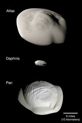 Atlas, Daphnis and Pan
Caption NASA:"This montage of views from NASA's Cassini Spacecraft shows three of Saturn's Small Ring moons: Atlas, Daphnis and Pan at the same scale for ease of comparison.

Two differences between Atlas and Pan are obvious in this montage. Pan's Equatorial Band is much thinner and more sharply defined, and the central mass of Atlas (the part underneath the smooth Equatorial Band) appears to be smaller than that of Pan.

All of these images were taken using the Cassini Spacecraft Narrow-Angle Camera. The images of Atlas were acquired on April 12, 2017, at a distance of about 10.000 miles (approx. 16,0093 Km) and at a Sun-moons-Spacecraft angle (or Phase Angle) of 37Â°. All three images are oriented so that North is up".
Parole chiave: Saturrnian Moons - Atlas, Daphnis and Pan