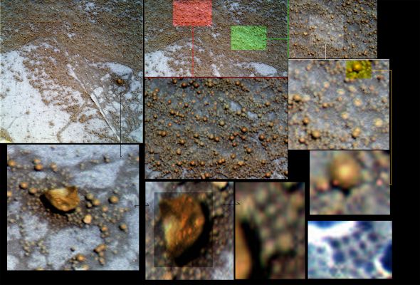 What are the "Berries" made of? (1 - possible Natural Colors; credits for the additional process. and color.: Dr Marco Faccin - Lunexit Team)
Nel panorama delle ricerche in ambiti controversi, un posto di primaria importanza dovrebbe essere occupato, a nostro parere, dai "Martian Berries" (ossìa i "Frutti di Bosco" - anche detti "Sferule" - presenti, in abbondanti depositi, in tutta la Regione di Meridiani Planum sino ad oggi visitata dal MER Opportunity). Il bravissimo Dr Marco Faccin, oltre ad averci offerto questa (bellissima e MOLTO realistica, a nostro modo di vedere) serie di dettagli, si è spinto a formulare un'ipotesi.  

Il Dr Faccin, fra le altre cose, ci dice:"...1) mi sembra che nonostante le dimensioni varie dei mirtilli, alcuni siano immersi in qualcosa...in corrispondenza delle depressioni scure del pavimento; 
2) sono presenti delle piccole sferule rosse...; 
3) quella che sembra una pietra potrebbe esserlo, ma non ne ha assolutamente l'aspetto nè la forma ed è, a quanto sembra, cava e con un mirtillo appiccicato (o in caduta?...) visibile nella parte esterna - esattamente sul vertice formato dai bordi dell'apertura. Inoltre, dentro questa "pietra", sembra essere presente qualcosa di colore chiaro; 
4) alla base della "pietra" ci sono delle sferule allineate in maniera decisamente simmetrica - tipo frattura predisposta...
Parole chiave: Martian Surface - Martian Paving & Berries - Controversial