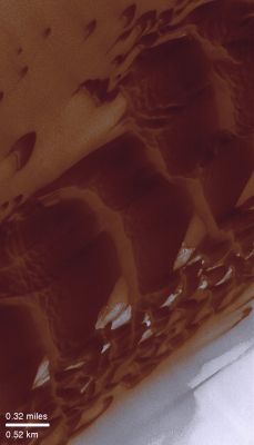 Possible Northern Scenarios (1) - Dark Dunes and Ice
nessun commento
Parole chiave: Mars from orbit - North Polar Dunes