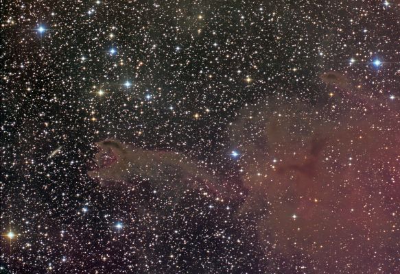 CG4: A Ruptured Cometary Globule
"...Poets...though liars by profession, always endeavour to give an air of truth to their fictions..."

David Hume (1711 - 1776) - "A Treatise Upon Human Nature" (1739)
Parole chiave: From Earth Images - Amatorial Images