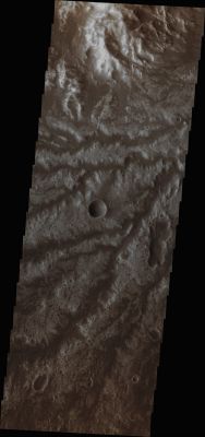 Features of Arda Valles (Absolute Natural Colors; credits for the additional process. and color.: Dr Paolo C. Fienga/Lunar Explorer Italia/Italian Planetary Foundation)
This is a frame taken by the NASA - MArs Odyssey Orbiter during its 49661st orbit, and it shows us a few Drainage Channels which are part of the Channel Network that comprises Arda Valles.

Latitude (centered): 20,3688° South 
Longitude (centered): 327,2160° East 
Instrument: VIS 
Captured: February, 23rd, 2013

This frame (which is an Original Mars Odyssey Orbiter b/w frame published on the NASA - Planetary Photojournal with the ID n. PIA 16286) has been additionally processed and then colorized in Absolute Natural Colors (such as the colors that a human eye would actually perceive if someone were onboard the NASA - Mars Odyssey Orbiter and then looked down, towards the Surface of Mars), by using an original technique created - and, in time, dramatically improved - by the Lunar Explorer Italia Team.
Parole chiave: Mars from orbit - Channels - Arda Valles