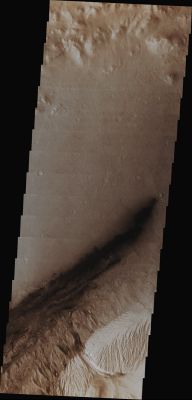 Gale Crater (Absolute Natural Colors; credits for the additional process. and color.: Dr Paolo C. Fienga/Lunar Explorer Italia/Italian Planetary Foundation)
During the month of April, of the AD 2013, Mars will be in a so-called "Conjunction" relative to the Planet Earth. This means that the Sun is exactly in the line-of-(direct) sight between the two aforementioned Celestial Bodies, such as our Home Planet Earth and the Red Planet. In this Spatial Configuration, as you can easily understand, the communications between the two Planets are - in fact - almost impossible; however, during the Conjunction Period, the Rovers operating on the Surface of Mars and the Spacecrafts orbiting around it, will continue to operate, but without sending all the collected data to Earth. This data, which are all recorded and stored, will be sent to Earth when the Conjunction is over, Mars shall have moved away from behind the Sun (of course, only from our Terrestrial point of view) and therefore the line-of-(direct) sight between Earth and Mars is re-established. 

During the Conjunction Period, the "NASA - THEMIS Image of the Day" will be a visual tour of Gale Crater, such as the location of the newest Mars Exploration Rover (and Laboratory) Curiosity. The first image of Gale Crater that we propose you on today's APOD (image that was taken more than 6 years ago, by the NASA - Mars Odyssey Orbiter, during its 23.897th orbit around the Red Planet) shows, among other Features, the Landing Site of the Mars Exploration Rover (and Laboratory) Curiosity (which is located approximately near the center of the image). On the other hand, the Dark Material that is visible towards the South (the lower portion of the frame), is just (Basaltic, most likely) Sand that is set on the Floor of Gale Crater in the form of Dunes; Dunes that the Curiosity Rover, in a way or another, will have to navigate through in order to get to the Layered Central Deposit (also partially visible in the frame), whose official name, as you should know by now, is "Mount Sharp".

Latitude (centered): 4,47891° South 
Longitude (centered): 137,46500° East 
Instrument: VIS 
Captured: April, 5th, 2007

This frame (which is an Original Mars Odyssey Orbiter b/w frame published on the NASA - Planetary Photojournal with the ID n. PIA 16289) has been additionally processed and then colorized in Absolute Natural Colors (such as the colors that a human eye would actually perceive if someone were onboard the NASA - Mars Odyssey Orbiter and then looked down, towards the Surface of Mars), by using an original technique created - and, in time, dramatically improved - by the Lunar Explorer Italia Team.
Parole chiave: Mars from orbit - Craters - Gale Crater