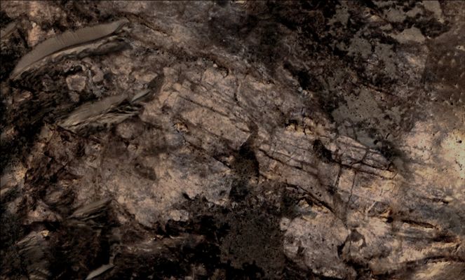 Fractures and Layers in Carbonate-bearing Rocks at Mars' Huygens Basin (Absolute Natural Colors; credits: Dr Paolo C. Fienga - Lunexit Team)
Caption NASA:This image from orbit covers an area about 460 meters (approx. 1500 feet) across, in which Carbonate Minerals have been identified from spectrometer observations. Fractures and possible Layers are visible in the light-toned Rock exposure containing the Carbonates.
The location is inside an Unnamed Crater about 35 Km (approx. 21,73 miles) in diameter that lays on the Uplifted Rim of the extremely wide Huygens Crater, which is about 467 Km (approx. 290 miles) in diameter. The excavations by the impacts that dug first Huygens and then the smaller crater have exposed material in this image that had been buried an estimated 5 Km (3,1 miles) deep. 

The Carbonates may be from part of an extensive Buried Layer that could hold much of the Carbon that was once in a thick Martian Atmosphere of Carbon Dioxide, some researchers propose. 
Mars now has a thin Atmosphere that is mostly Carbon Dioxide, but evidence that liquid water was once widespread on the Surface suggests the Atmosphere was much thicker billions of years ago. The High Resolution Imaging Science Experiment (HiRISE) camera on NASA's Mars Reconnaissance Orbiter provided this image. 

Identification of Iron or Calcium Carbonates at this site, and also of Clay Minerals indicating a formerly wet environment, comes from an observation by the Compact Reconnaissance Imaging Spectrometer for Mars (CRISM) on the same Orbiter. 

The point is that in the presence of water and other (favourable) conditions, the CO2 (Carbon Dioxide) that is present in the Martian Atmosphere can be captured into Carbonate Minerals.

The image is from HiRISE observation ESP_012897_168, made on April 27, 2009, and centered at 11,6° South Lat. and 51,9° East Long.".
Parole chiave: Mars from orbit - Craters - Huygens Crater