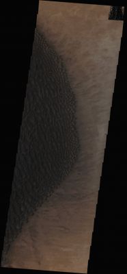 Proctor Crater's Dunefield (Absolute Natural Colors; credits for the additional process. and color.: Dr Paolo C. Fienga/Lunar Explorer Italia/IPF)
In this VIS image, taken by the NASA - Mars Odyssey Orbiter on July 4th, 2013, and during its 51.257th orbit around the Red Planet, we can see part of the very large Dunefield that is located located on the Floor of Proctor Crater (a large Impact Crater found in the Noachis Quadrangle of Mars, at about 48° South Latitude and 330,5° West Longitude). 
Proctor Crater is approx. 168 Km (such as about 104,3 miles) in diameter and it was so named after Dr Richard A. Proctor, a British Astronomer (who was born in Chelsea - London, UK, on March, 23rd, 1837 and died in New York - USA - on September, 12th, 1888). Proctor Crater contains an approx. 35 x 65 Km (such as about 21,7 x 40,36 miles) Dark Dunefield that was one of the first Sand Dunefields ever recognized on Mars - note: this discovery was based on the NASA - Mariner 9 Spacecraft's images. Just out of curiosity, Proctor's Dunes are still being monitored by several Spacecrafts now orbiting the Red Planet (including the NASA- Mars Reconnaissance Orbiter) with the aim of identifying the changes (if any) which might have occurred - over time - in the shape of the Dunefield itself.

Latitude (centered): 47,4158° South 
Longitude (centered): 30,9423° East 
Instrument: VIS 

This frame (taken from an Original Mars Odyssey Orbiter b/w and Map-Projected frame published on the NASA - Planetary Photojournal with the ID n. PIA 17421) has been additionally processed, magnified, contrast enhanced, Gamma corrected and then colorized in Absolute Natural Colors (such as the colors that a human eye would actually perceive if someone were onboard the NASA - Mars Odyssey Orbiter and then looked down, towards the Surface of Mars), by using an original technique created - and, in time, dramatically improved - by the Lunar Explorer Italia Team.
Parole chiave: Martian Craters - Proctor Crater - Dunefield