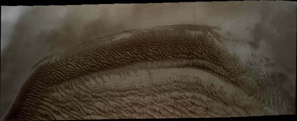 Richardson Crater (Visible Light and Natural Colors; credits: Lunexit)
Caption NASA:"This VIS image of Richardson Crater was collected at the same time as yesterday's IR image. While the dunes appeared uniform in temperature in the IR, they are varied in appearance in the visible wavelengths. The sand is darker than the surrounding and covering dust".

Coord.: 72,2° South Lat. and 178,5° East Long.
Parole chiave: Mars from orbit - Craters - Richardson Crater