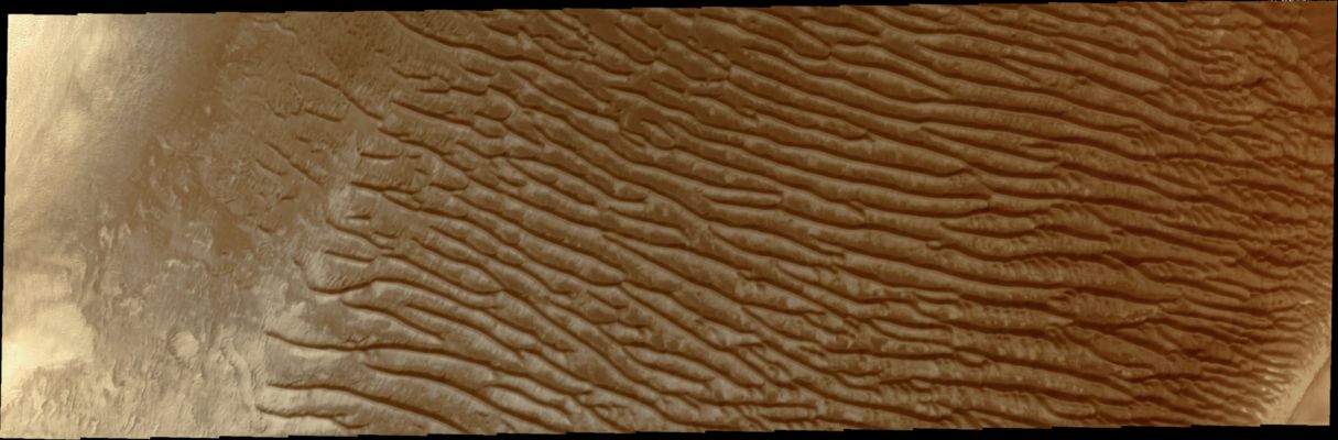 Dunefield in Richardson Crater (Saturated and Enhanced Natural Colors; credits for the additional process. and color.: Dr Paolo C. Fienga - Lunar Explorer Italia)
Caption NASA:"This VIS image shows the large Dunefield in Richardson Crater. Many Craters around the South Pole of Mars contain Dunefields".

Coord.: 72,3° South Lat. and 179,8° East Long.
Parole chiave: Mars from orbit - Craters - Richardson Crater