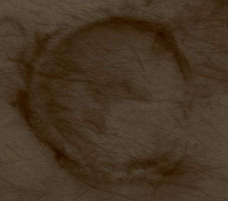 Exhumed Crater in Planum Chronium (edm - Natural Colors; credits: Lunexit)
nessun commento
Parole chiave: Mars from orbit - Craters - Unnamed Exhumed Crater in Planum Chronium