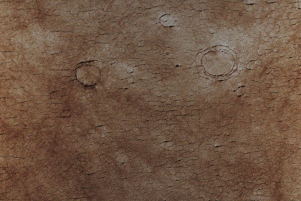 Unnamed Buried Craters in Utopia Planitia (Enhanced Absolute Natural Colors; credits for the additional process. and color.: Dr Paolo C. Fienga - Lunexit Team)
Caption NASA:"This Mars Global Surveyor (MGS) Mars Orbiter Camera (MOC) image shows a cracked Plain in Western Utopia Planitia. The three circular crack patterns indicate the location of three buried Unnamed Impact Craters. These landforms are located near 41,9° North Lat. and 275,9° West Long. The image covers an area approximately 3 km (about 1,9 mi) across. Sunlight illuminates this scene from the lower left".
Parole chiave: Mars from orbit - Craters - Unnamed Buried Craters